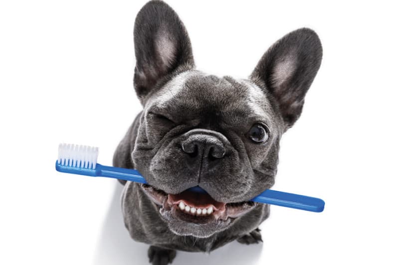 Чистка зубів