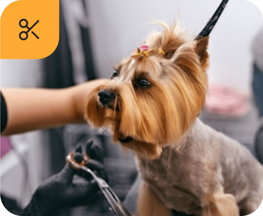 Гігієнічна стрижка