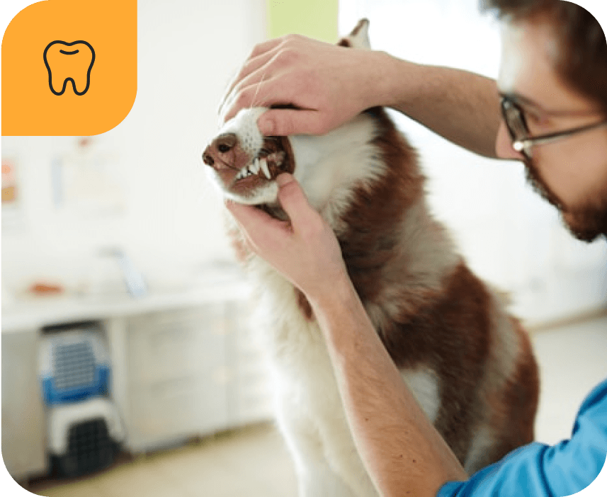 Чистка зубів